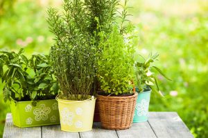 A guide to building your own DIY vertical herb garden
